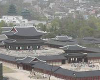 7DayKorea11