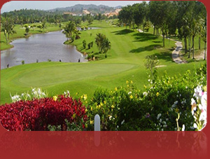 Batam & Bintan Golf Package